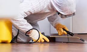 Best Real Estate Pest Inspections  in Gasport, NY